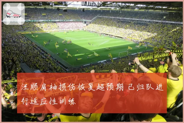 汪顺肩袖损伤恢复超预期 已归队进行适应性训练